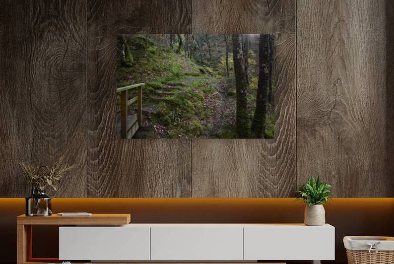 Birches in the ravine 13 by CHARYL ENGELMAN