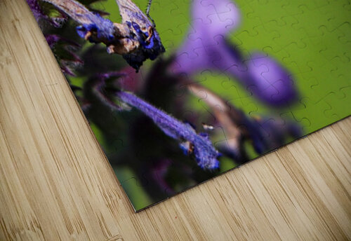 Damselfly Laura Pinkstaff puzzle