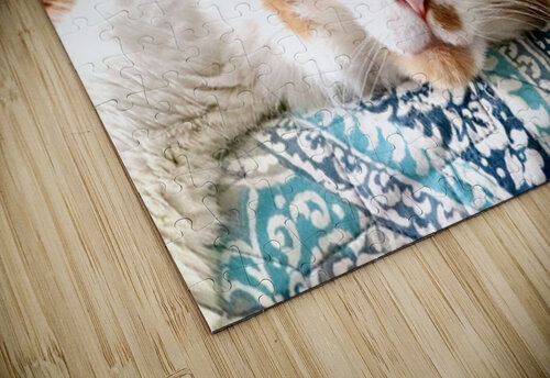 Maine coon Laura Pinkstaff puzzle