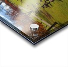 Duck pond Acrylic print