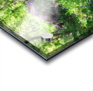 Unspoiled Acrylic print