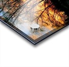 Sunset on snow Acrylic print