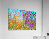 Spring and Autumn Acrylic Print