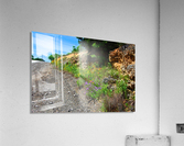 Uphill Acrylic Print