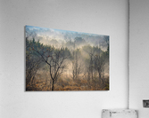 misty morning Acrylic Print