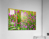 TX wildflowers Acrylic Print