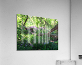 Unspoiled Acrylic Print