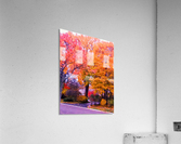 Autumn fire Acrylic Print