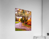 Autumn path Acrylic Print