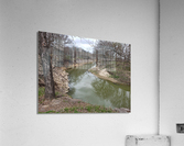 Ravine River  Acrylic Print