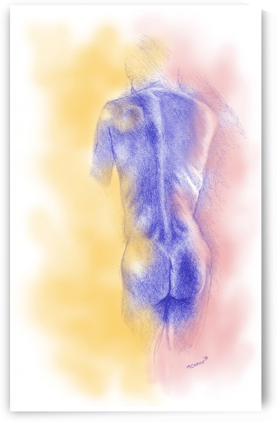 Male nude by Ann Ciarico