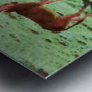 Two Donkeys Metal print