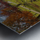 Duck pond Metal print