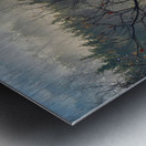 misty morning Metal print