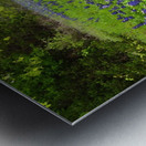 Bluebonnets Impression metal