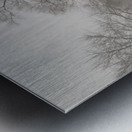 Wintery Trees Metal print