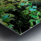 River roots Metal print