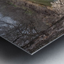 Ravine River  Metal print