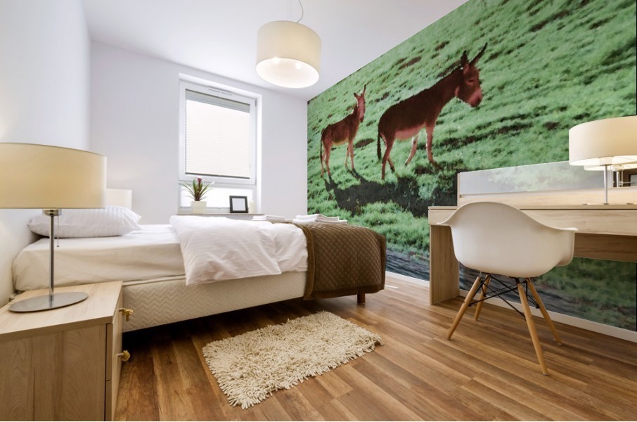 Two Donkeys Mural print