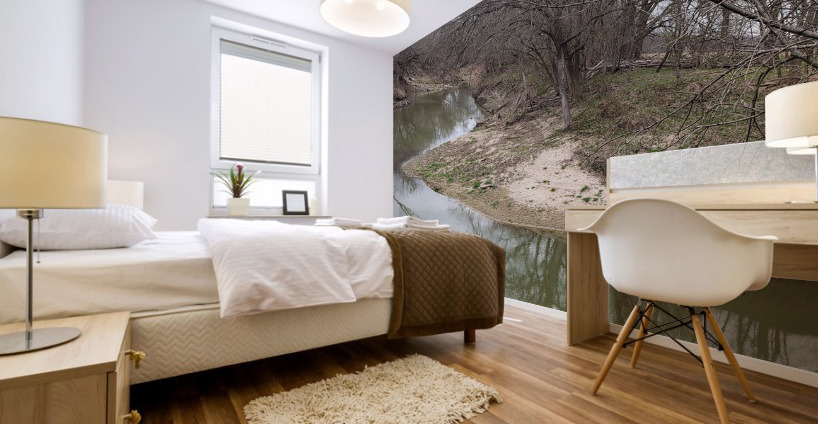 Ravine River  Mural print