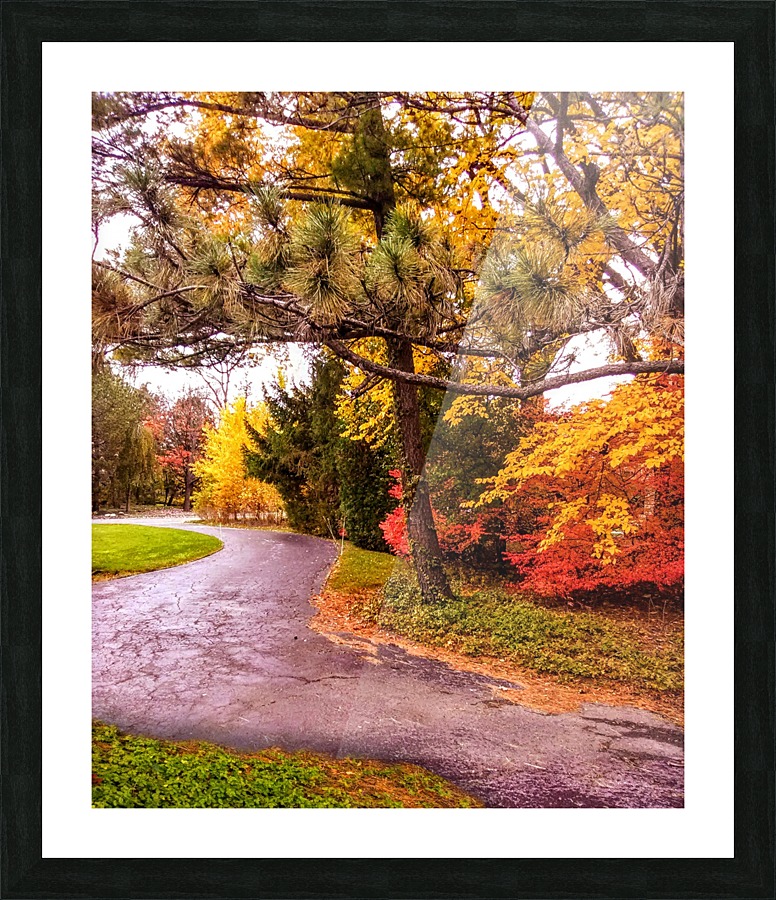 Autumn path Picture Frame print