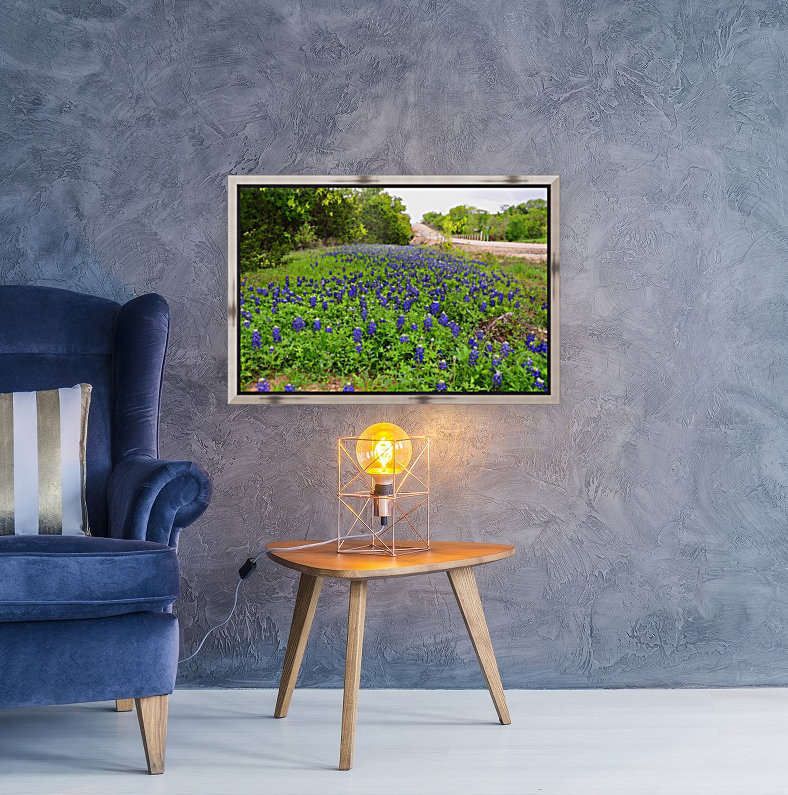 Bluebonnets Reproduction