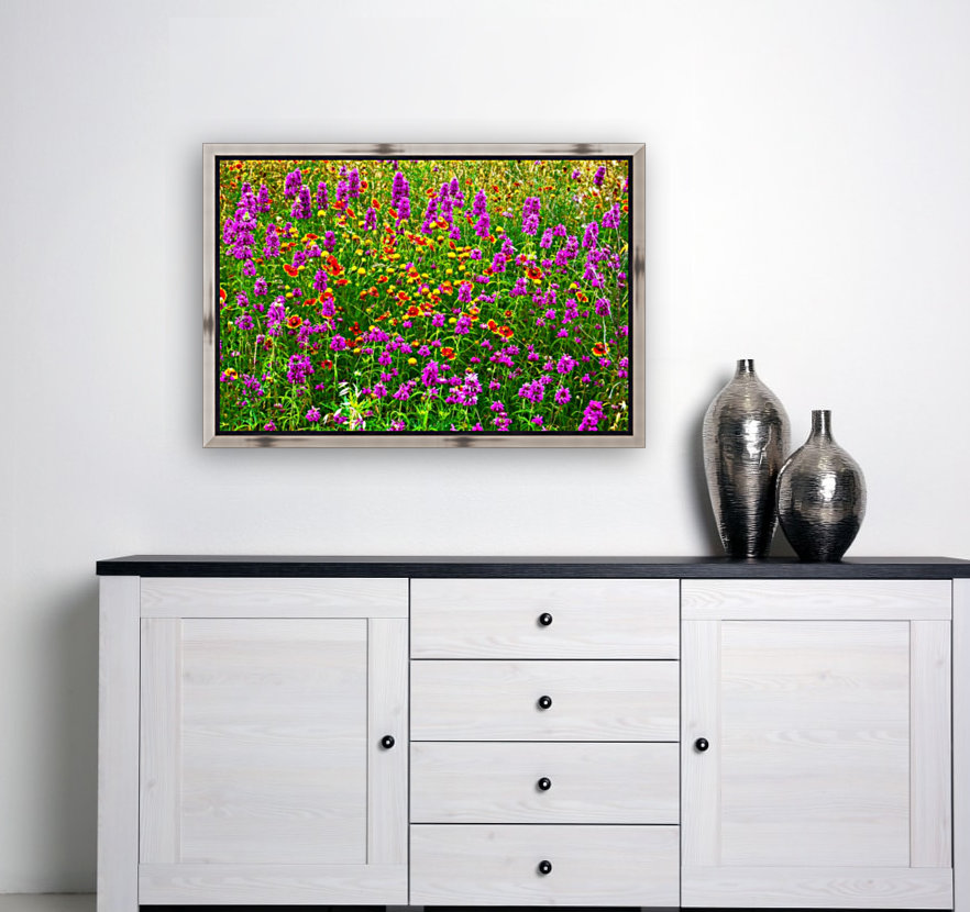 TX wildflowers Reproduction