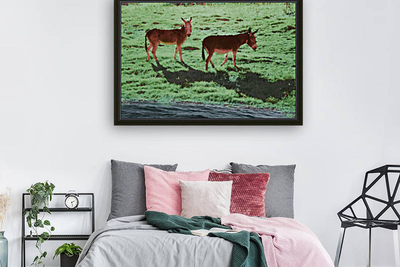 Two Donkeys by Ann Ciarico