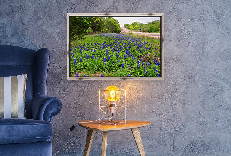 Bluebonnets by Ann Ciarico