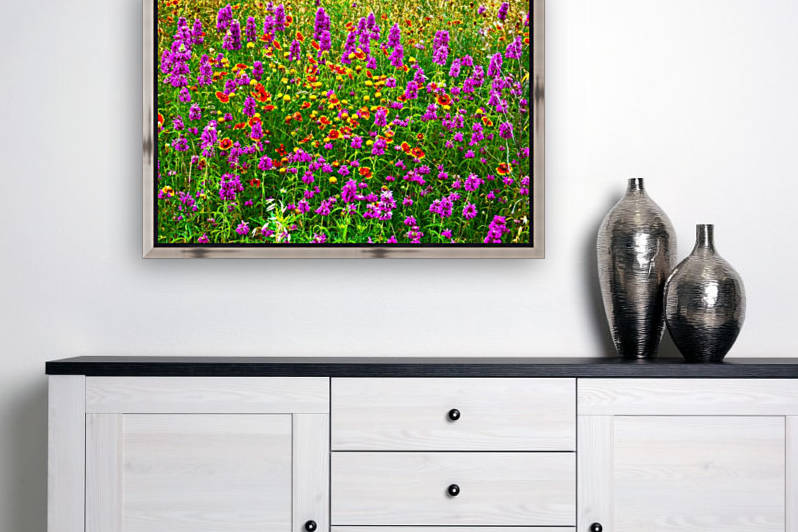 TX wildflowers Reproduction