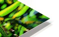 moosehorns HD Metal print