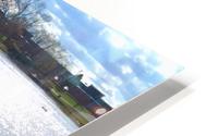 Duck pond HD Metal print