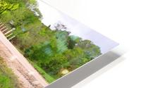 Bluebonnets Impression metal HD
