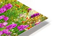 TX wildflowers HD Metal print