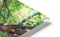 Unspoiled HD Metal print
