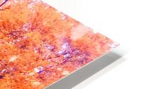 Autumn fire HD Metal print
