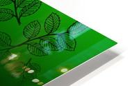 leaf design HD Metal print