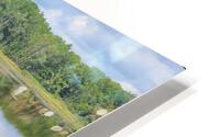 Bridge with Nature HD Metal print
