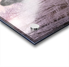 Gypsy Winter Road OS Acrylic print