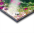 Summer Rose Arbor edit 4 Original size Acrylic print