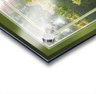 Crepe Myrtle Var 3 Acrylic print