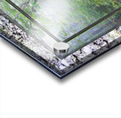 Forest Glow Ver 2 DF Acrylic print