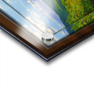 Franklin Morning TF Acrylic print