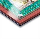 Hydrangeas in Window TF 14 x 16 Acrylic print