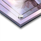 January Trees Version 2 DF Acrylic print