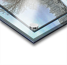 Two Winter Trees Version 2  Acrylic print