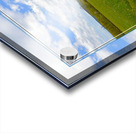 Country Meadow Ver 2  Acrylic print