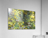 Goldenrod Version 3 OS Acrylic Print