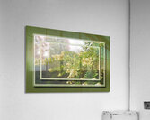 Crepe Myrtle Var 3 Acrylic Print