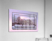 January Trees Version 2 DF Acrylic Print
